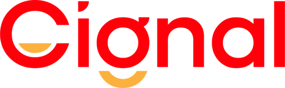 team-flag