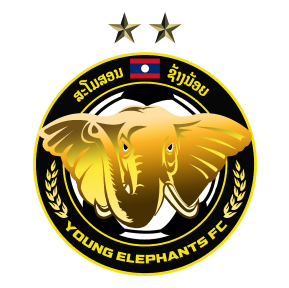 team flag