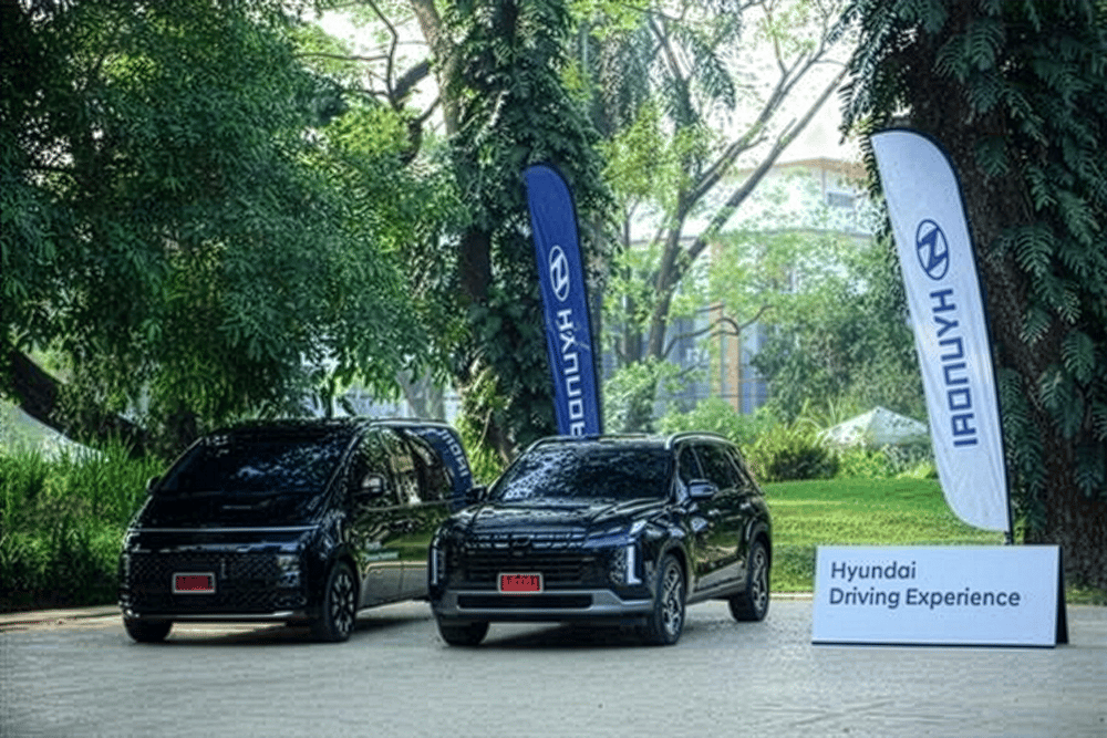 Player Appearance image